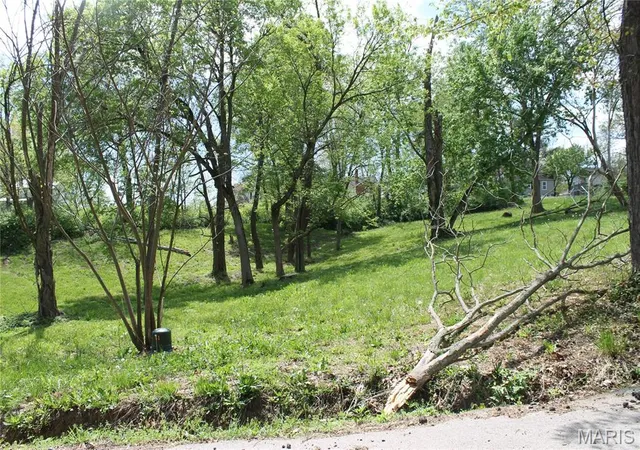 3rd image of 0 Virginia Street Lot 12, St Clair, MO 63077 | MLS# MIS26054315