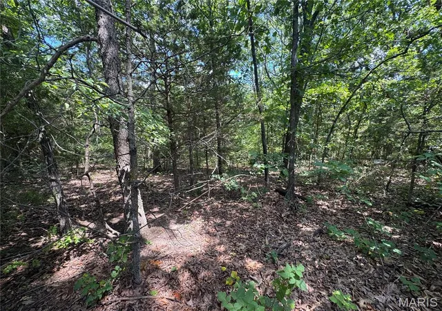 Photo 1 of Land for sale at 0 Rue Marne, Bonne Terre, MO 63628 | MLS# MIS26054425 | Listing updated on 2026-10-03