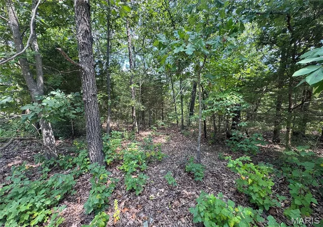 Photo 2 of Land for sale at 0 Rue Marne, Bonne Terre, MO 63628 | MLS# MIS26054425 | Listing updated on 2026-10-03