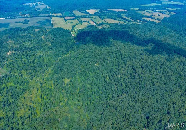 Photo 2 of Land for sale at 22978 Bcr 826, Glenallen, MO 63751 | MLS# MIS26054508 | Listing updated on 2026-09-21