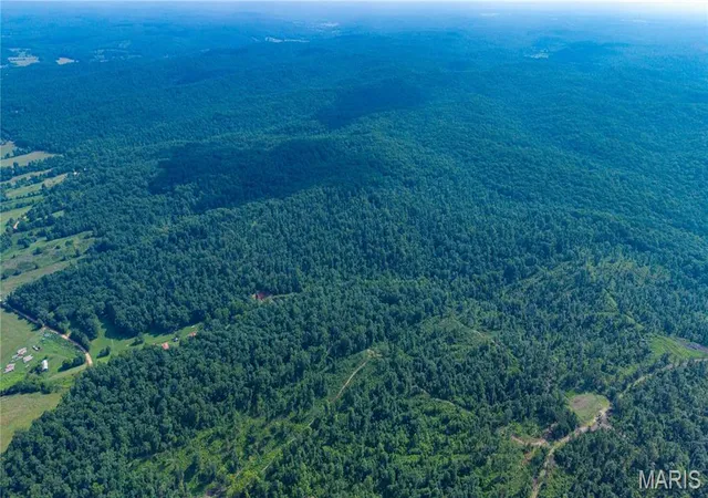 Photo 3 of Land for sale at 22978 Bcr 826, Glenallen, MO 63751 | MLS# MIS26054508 | Listing updated on 2026-09-21