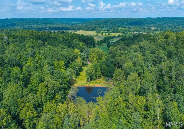 Photo 4 of Land for sale at 22978 Bcr 826, Glenallen, MO 63751 | MLS# MIS26054508 | Listing updated on 2026-09-21