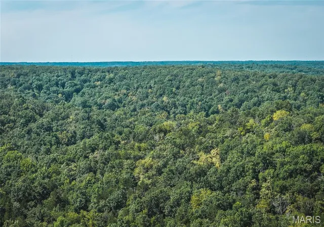 43rd image of 9570 Ne Hwy 82, Osceola, MO 64776 | MLS# MIS26054541