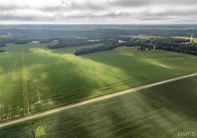 Photo 3 of Land for sale at 00 Terry Park Rd, Palmyra, IL 63674 | MLS# MIS26054544 | Listing updated on 2026-08-27