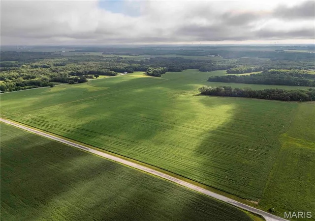 Photo 4 of Land for sale at 00 Terry Park Rd, Palmyra, IL 63674 | MLS# MIS26054544 | Listing updated on 2026-08-27
