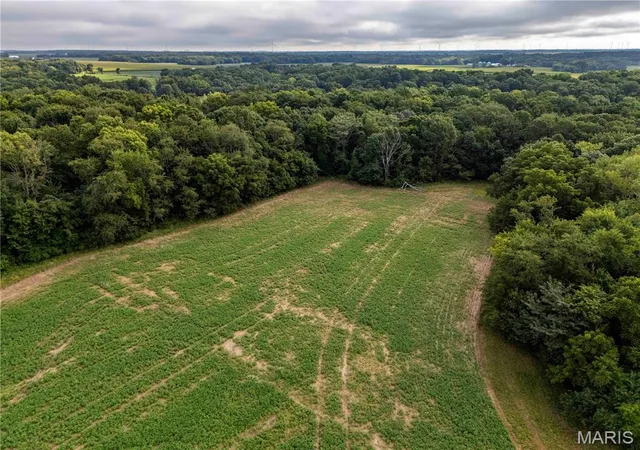 Photo 73 of Land for sale at 00 Terry Park Rd, Palmyra, IL 63674 | MLS# MIS26054544 | Listing updated on 2026-08-27