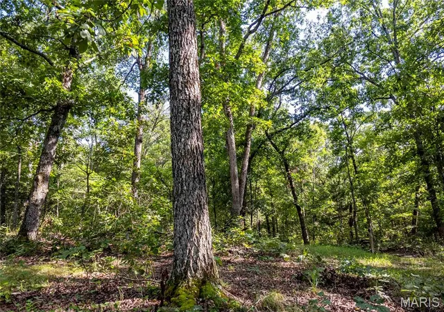 Photo 4 of Land for sale at 00 Leweke Ln, Hermann, MO 65041 | MLS# MIS26054581 | Listing updated on 2026-08-24