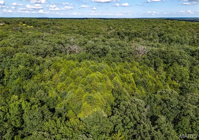 Photo 48 of Land for sale at 00 Leweke Ln, Hermann, MO 65041 | MLS# MIS26054581 | Listing updated on 2026-08-24