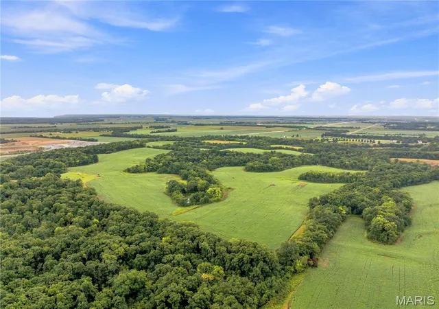 Photo 4 of Land for sale at Xx Hwy B, Alexandria, MO 63430 | MLS# MIS26054621 | Listing updated on 2026-08-25