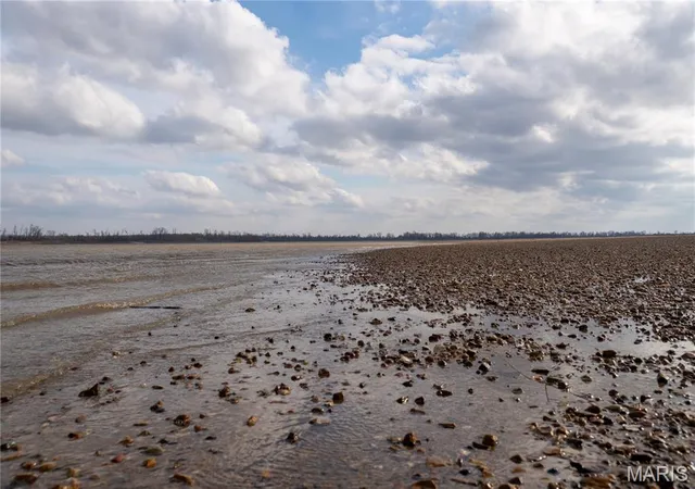 2nd image of Tract 1 County Road 336, Portageville, MO 63873 | MLS# MIS26054628