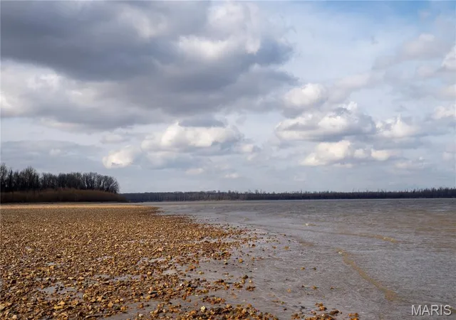 3rd image of Tract 2 County Road 336, Portageville, MO 63873 | MLS# MIS26054645