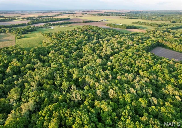 Photo 2 of Land for sale at 3408 Conservation Rd, Alma, IL 62807 | MLS# MIS26054684 | Listing updated on 2026-09-05