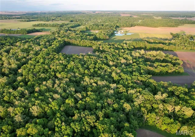 Photo 3 of Land for sale at 3408 Conservation Rd, Alma, IL 62807 | MLS# MIS26054684 | Listing updated on 2026-09-05