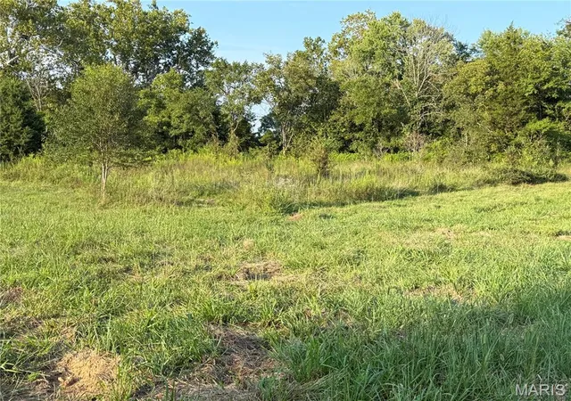 1st image of 475 County Road 157, Des Arc, MO 63636 | MLS# MIS26054688