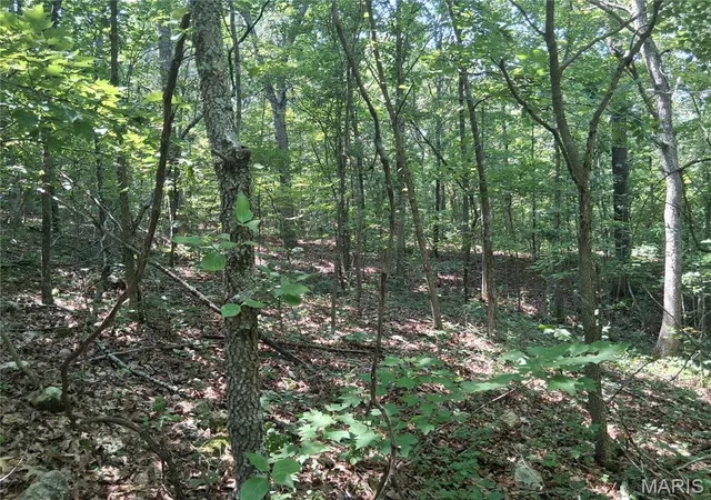 10th image of 002 Cr 68 Tract 2, Bixby, MO 65439 | MLS# MIS26054703