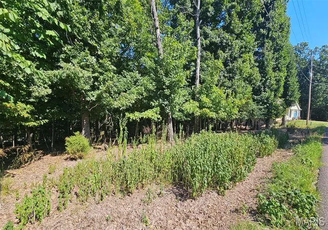 Photo 3 of Land for sale at 319a Nottingham Dr, Marthasville, MO 63357 | MLS# MIS26054713 | Listing updated on 2026-09-02
