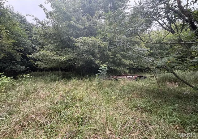 Photo 2 of Land for sale at 529 E Oak St, Brownstown, IL 62418 | MLS# MIS26054737 | Listing updated on 2026-08-25