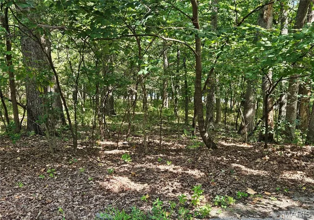 Photo 1 of Sale Pending at Tbd Azelia Ln, Hillsboro, MO 63050 | MLS# MIS26054936 | Listing updated on 2026-09-13