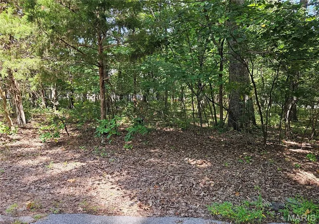 Photo 2 of Sale Pending at Tbd Azelia Ln, Hillsboro, MO 63050 | MLS# MIS26054936 | Listing updated on 2026-09-13