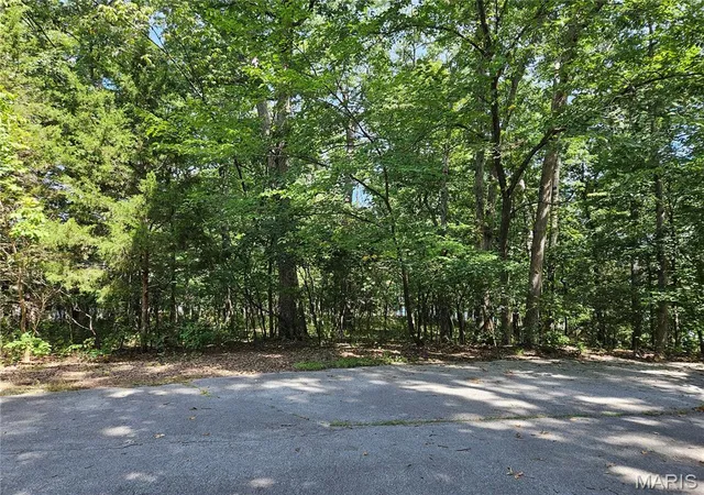 Photo 3 of Sale Pending at Tbd Azelia Ln, Hillsboro, MO 63050 | MLS# MIS26054936 | Listing updated on 2026-09-13