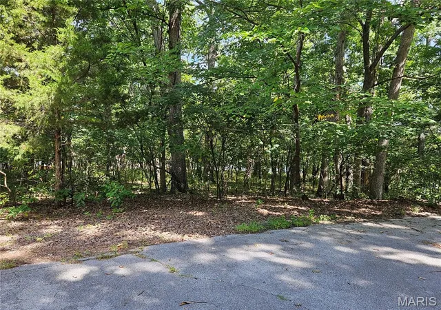 Photo 4 of Sale Pending at Tbd Azelia Ln, Hillsboro, MO 63050 | MLS# MIS26054936 | Listing updated on 2026-09-13