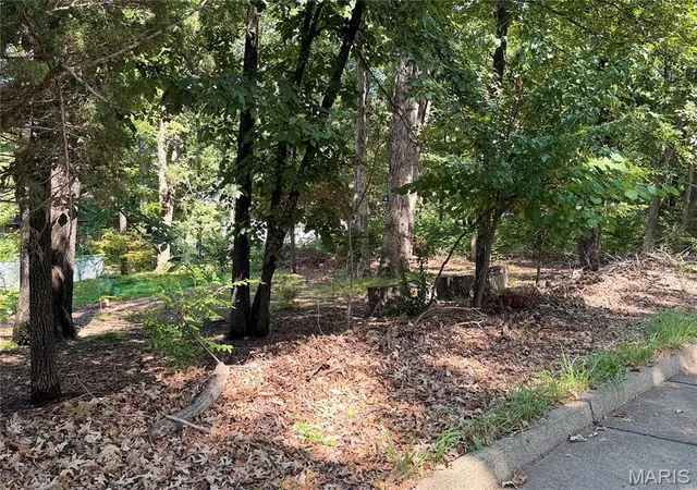 Land for sale at 00 Sylvan Dr, Poplar Bluff, MO 63901 | MLS# MIS26054962