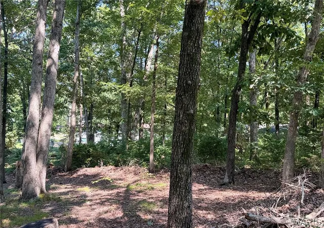 Photo 2 of Land for sale at 00 Sylvan Dr, Poplar Bluff, MO 63901 | MLS# MIS26054962 | Listing updated on 2026-08-27