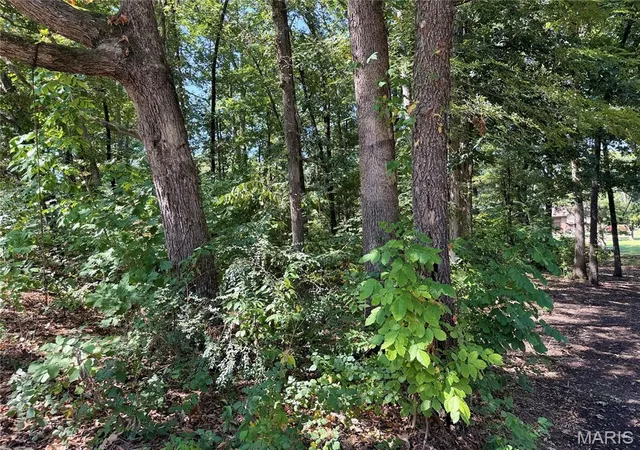 Photo 3 of Land for sale at 00 Sylvan Dr, Poplar Bluff, MO 63901 | MLS# MIS26054962 | Listing updated on 2026-08-27