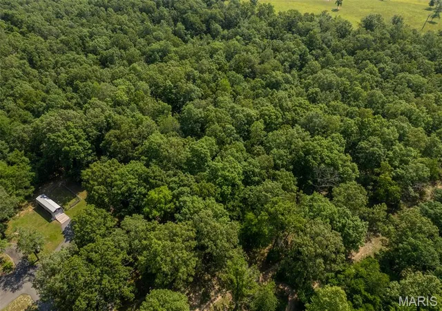 48th image of 2426 County Road 462, Poplar Bluff, MO 63901 | MLS# MIS26054964