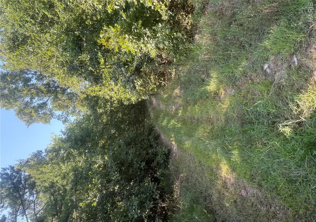 Photo 3 of Land for sale at 0 Cr 205a, Van Buren, MO 63965 | MLS# MIS26054987 | Listing updated on 2026-08-26