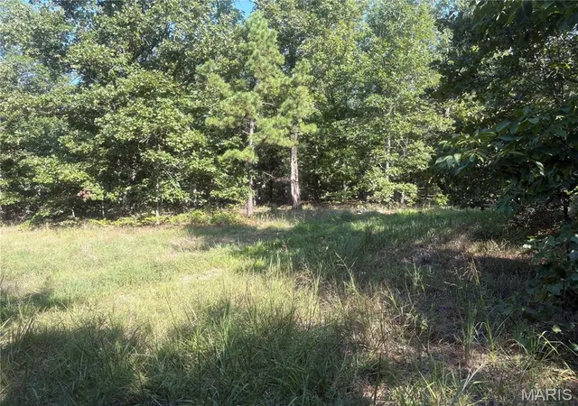 Photo 3 of Land for sale at 0 Cr 205A, Van Buren, MO 63965 | MLS# MIS26054987 | Listing updated on 2026-08-26