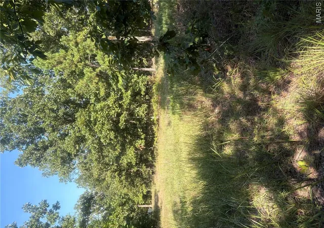 Photo 4 of Land for sale at 0 Cr 205A, Van Buren, MO 63965 | MLS# MIS26054987 | Listing updated on 2026-08-26