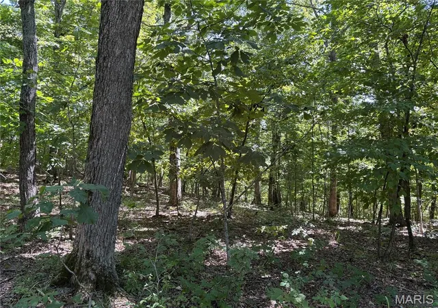 Land for sale at 5.49 Acres T Warren, Warrenton, MO 63383 | MLS# MIS26055064