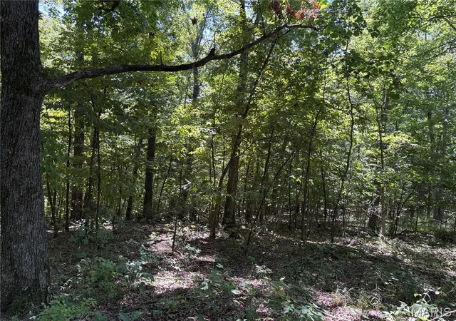 Photo 3 of Land for sale at 549 Acres T Warren, Warrenton, MO 63383 | MLS# MIS26055064 | Listing updated on 2026-09-01
