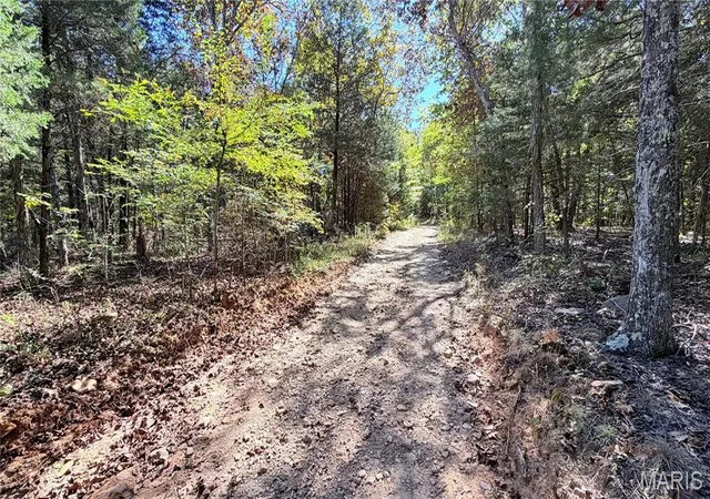 Photo 2 of Land for sale at 2169 Madison 518, Ironton, MO 63650 | MLS# MIS26055115 | Listing updated on 2026-10-07