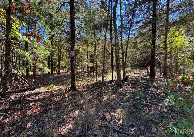 Photo 3 of Land for sale at 2169 Madison 518, Ironton, MO 63650 | MLS# MIS26055115 | Listing updated on 2026-10-07