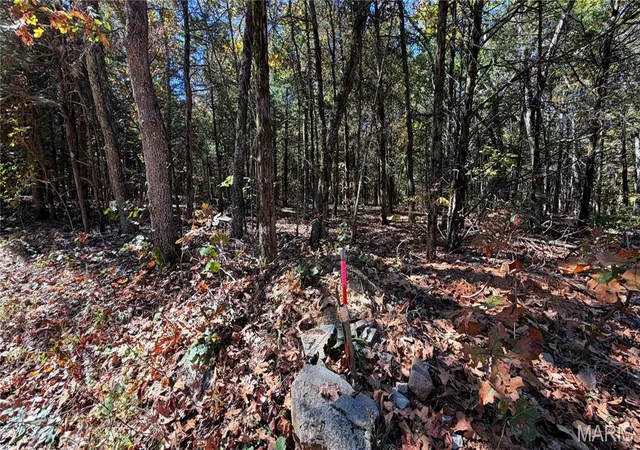 Photo 4 of Land for sale at 2169 Madison 518, Ironton, MO 63650 | MLS# MIS26055115 | Listing updated on 2026-10-07