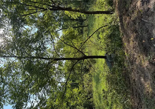 4th image of 10627 Old Hwy C, Steelville, MO 65565 | MLS# MIS26055132
