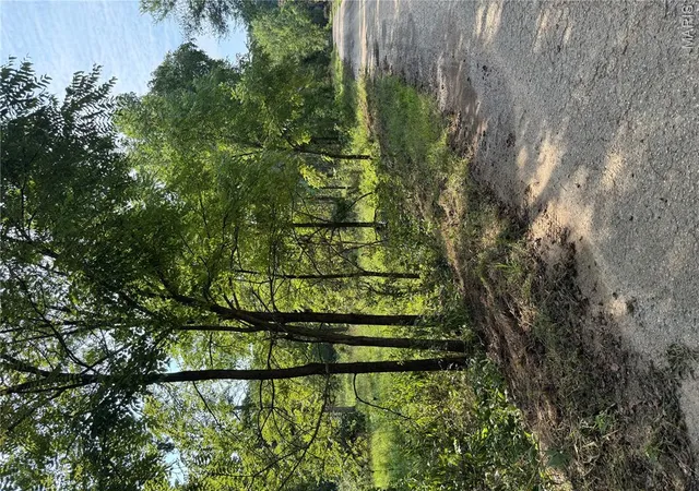 5th image of 10627 Old Hwy C, Steelville, MO 65565 | MLS# MIS26055132