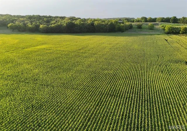 1st image of 00 Tickridge Rd, Elsberry, MO 63343 | MLS# MIS26055137