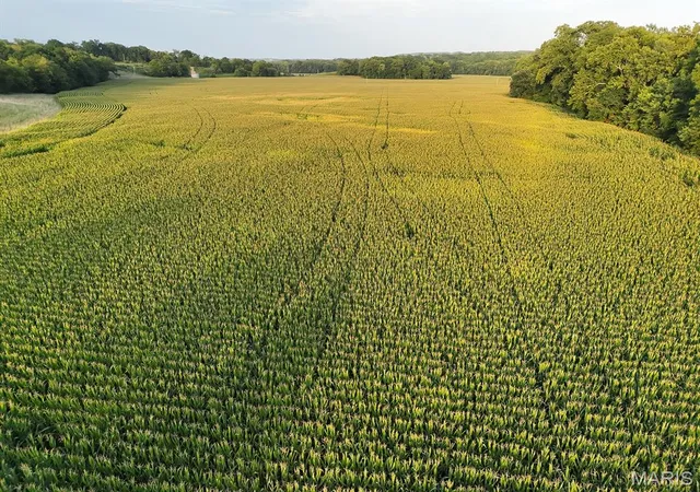 2nd image of 00 Tickridge Rd, Elsberry, MO 63343 | MLS# MIS26055137