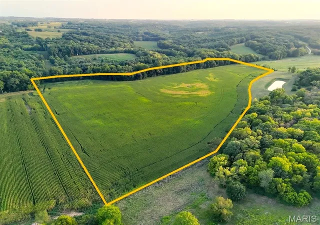 Photo 3 of Land for sale at 00 Tickridge Rd, Elsberry, MO 63343 | MLS# MIS26055137 | Listing updated on 2026-08-26
