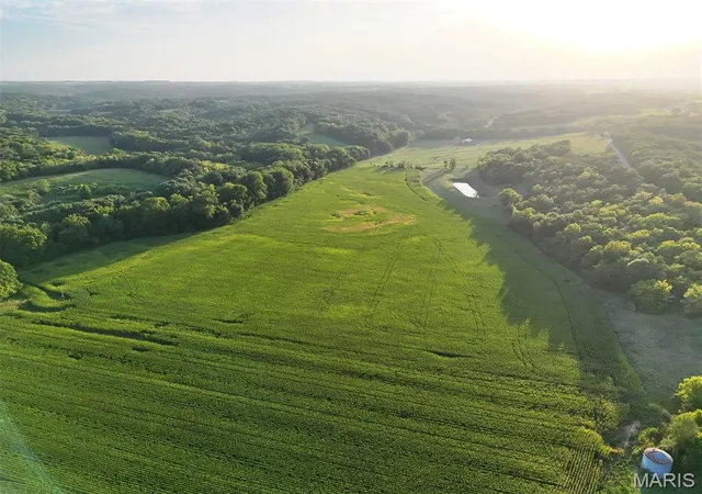 Photo 4 of Land for sale at 00 Tickridge Rd, Elsberry, MO 63343 | MLS# MIS26055137 | Listing updated on 2026-08-26