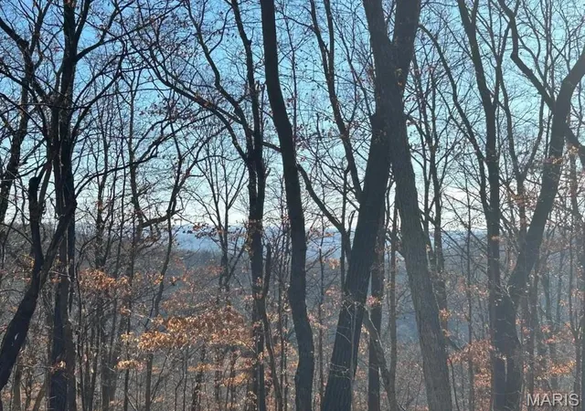 Photo 1 of Land for sale at 406 Big River Vw, Eureka, MO 63025 | MLS# MIS26055173 | Listing updated on 2026-08-29