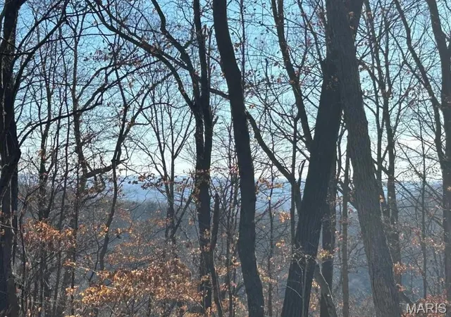 Photo 2 of Land for sale at 406 Big River Vw, Eureka, MO 63025 | MLS# MIS26055173 | Listing updated on 2026-08-29
