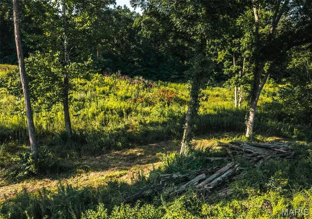 Photo 1 of Land for sale at Tbd Stegner Dr, Marthasville, MO 63357 | MLS# MIS26055183 | Listing updated on 2026-08-28