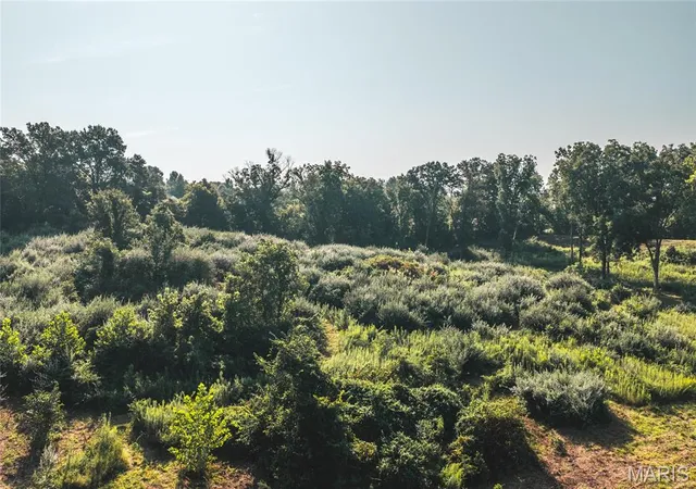Photo 3 of Land for sale at Tbd Stegner Dr, Marthasville, MO 63357 | MLS# MIS26055183 | Listing updated on 2026-08-28