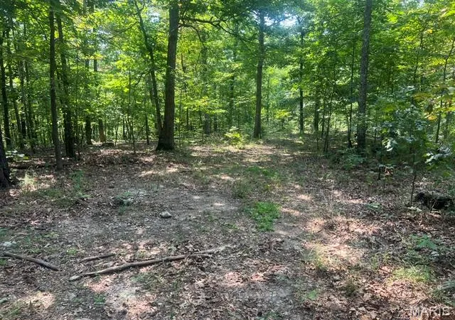 1st image of 0 County Road 341, Piedmont, MO 63957 | MLS# MIS26055209