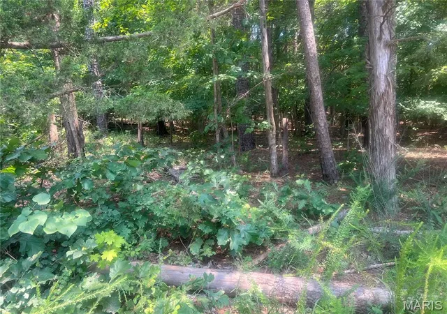 12th image of 0 County Road 341, Piedmont, MO 63957 | MLS# MIS26055209