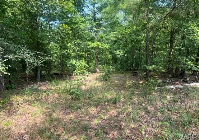 4th image of 0 County Road 341, Piedmont, MO 63957 | MLS# MIS26055209